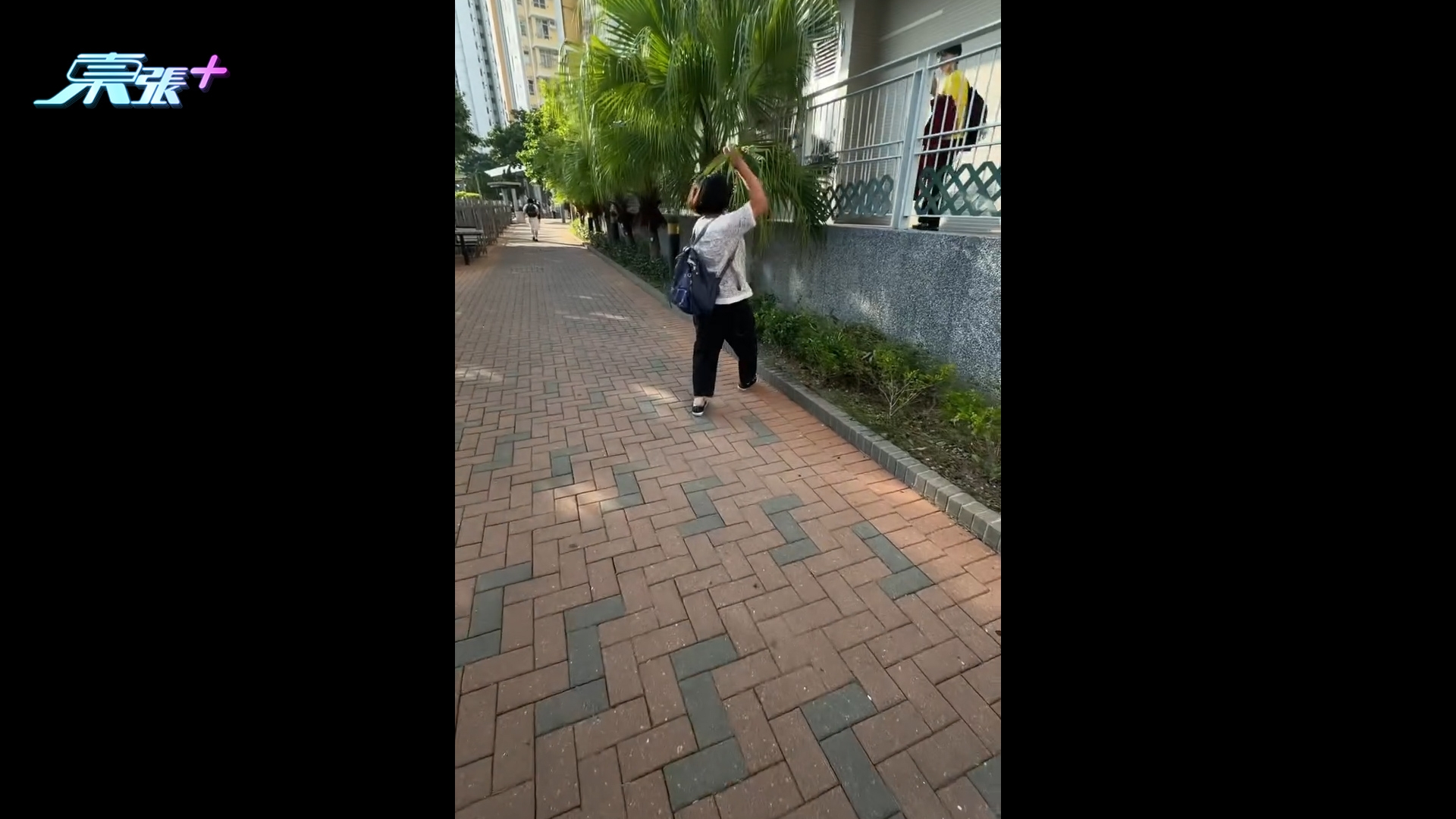 九巴車廂阿婆太嘈被勸靜音　疑不滿下車後怒向學生擲石　後續反擊引熱議