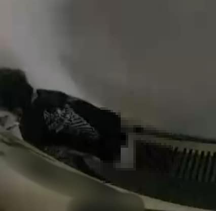 山頂廣場停車場小朋友「無公德心」車尾便溺　車主：我部車係唔係香啲