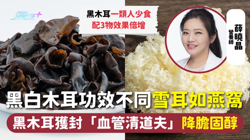 木耳 | 黑白木耳功效不同 雪耳如燕窩 黑木耳獲封「血管清道夫」降膽固醇 一類人少食 配3物效果倍增