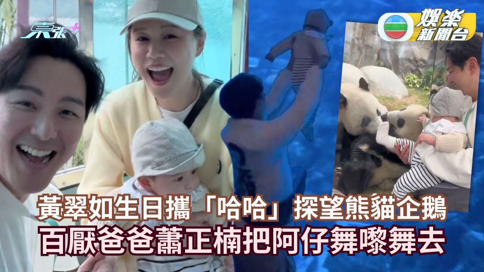 黃翠如生日攜可愛「蕭哈哈」探望熊貓企鵝 百厭爸爸蕭正楠把阿仔舞嚟舞去