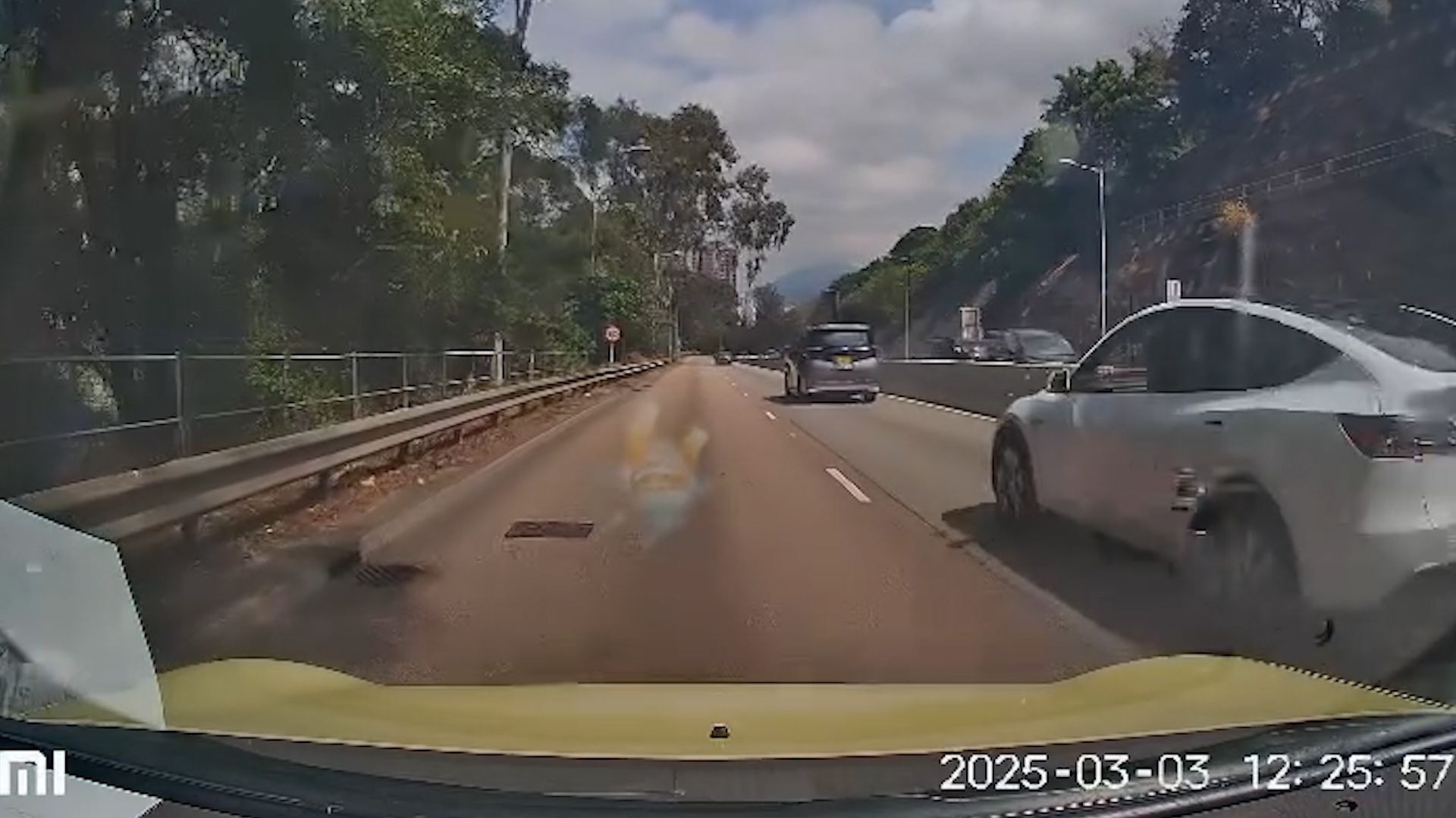 老婦獅子山隧道落錯巴士步行回家，熱心司機見狀開車送回家。(影片截圖)