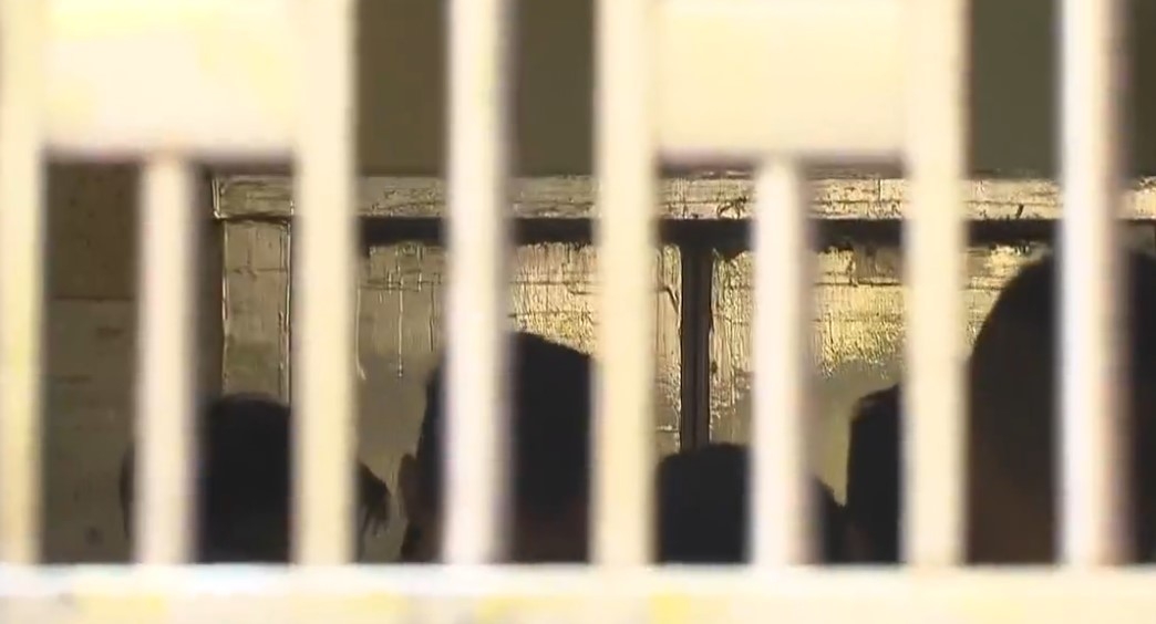 母子雙屍案｜中年婦疑鉸剪弒母焗死胞弟　警方列謀殺　深夜檢走證物