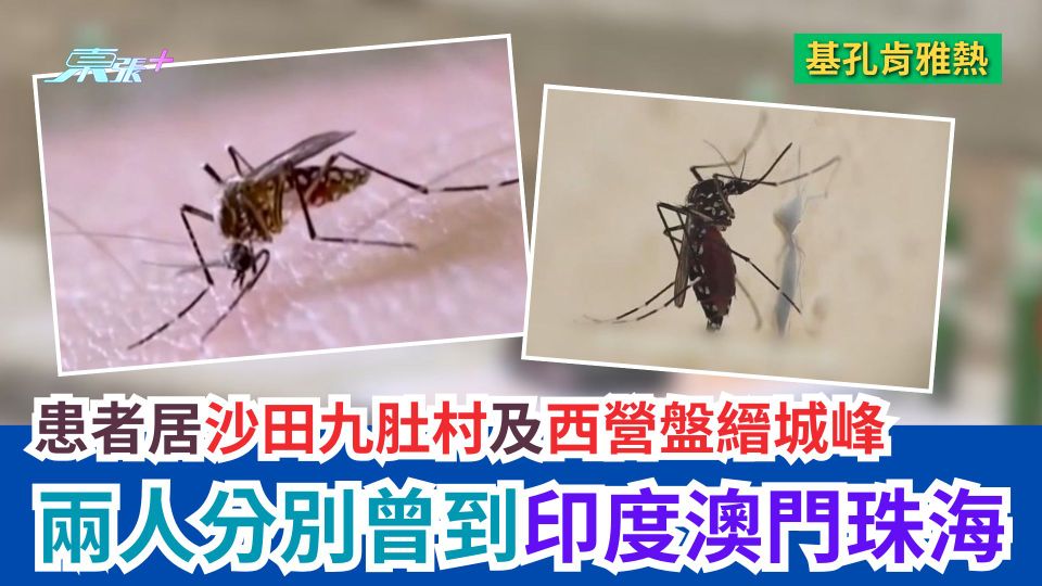 基孔肯雅熱｜患者居沙田九肚村及西營盤縉城峰　兩人分別曾到印度澳門珠海