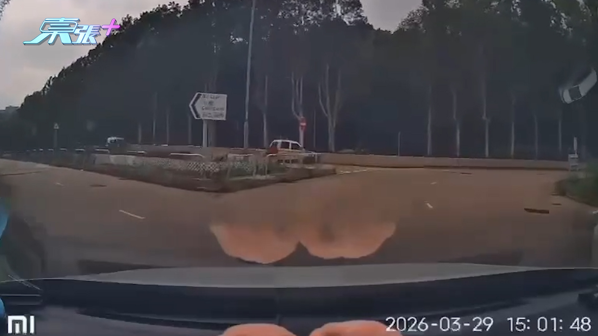 車Cam直擊｜掃管笏「綠的撞紅的」發清脆撞擊聲　網民：大型冰壺比賽