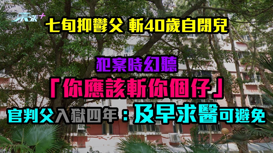 七旬抑鬱父斬40歲自閉兒｜幻聽「你應該斬你個仔」 官判入獄四年：應及早求醫