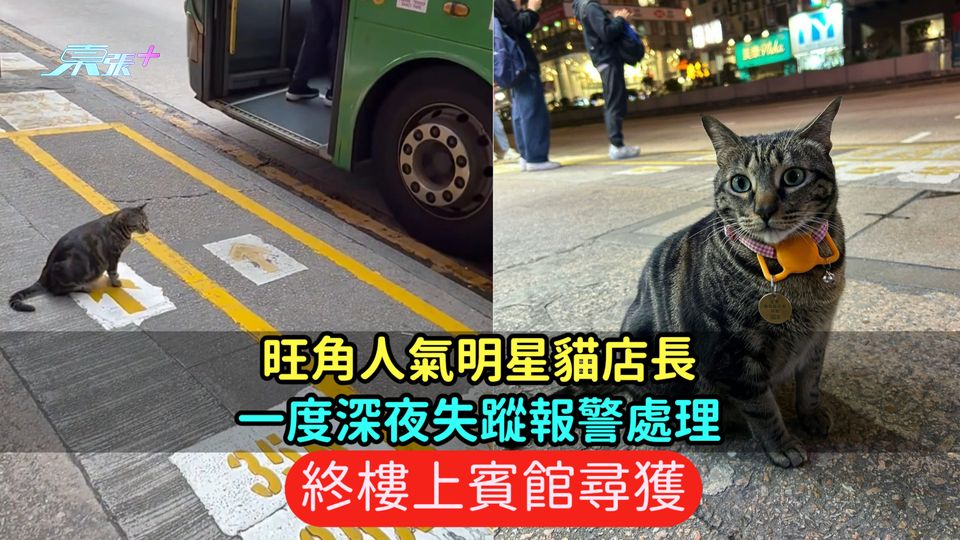 旺角人氣明星貓店長一度深夜失蹤報警處理  終樓上賓館尋獲