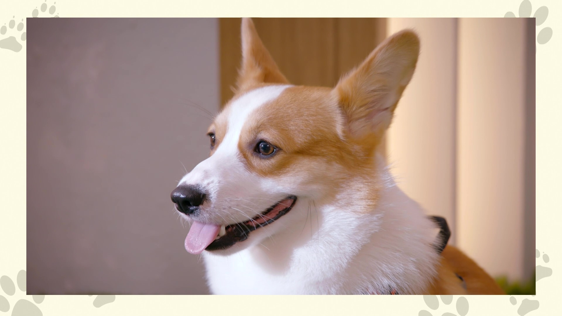 BB 由李芷晴聲演。