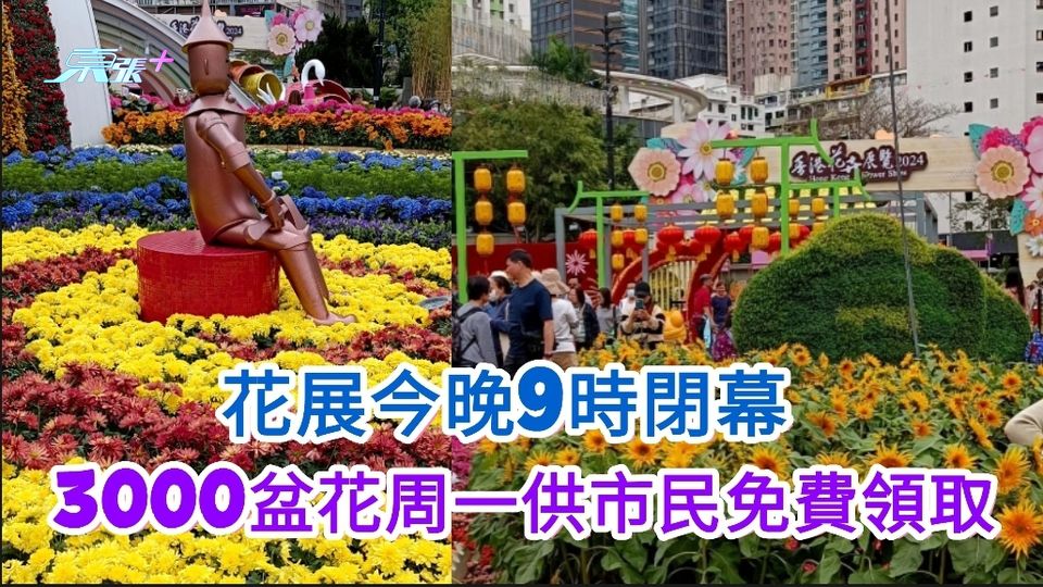 香港花展今晚9時閉幕 3000盆花周一供市民免費領取