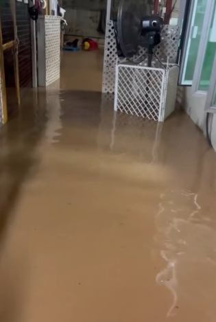 暴雨｜黑雨下狗場受災動物家所全被水浸　負責人緊急救狗：拯救中
