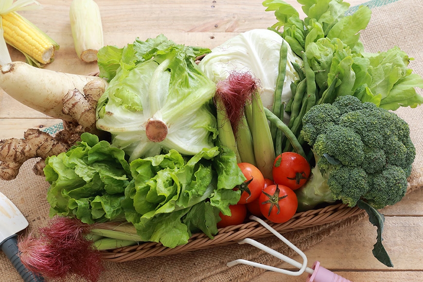 每週「一籃菜」，天天好周到！ - 台灣主婦聯盟生活消費合作社