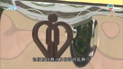私院接收醫管局患者病床使用率未如預期 有院方指近三成個案由當局取消