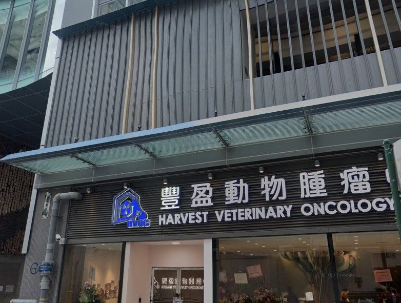 葵涌一間獸醫診所揭發一宗虐待動物案。(Googlemap)