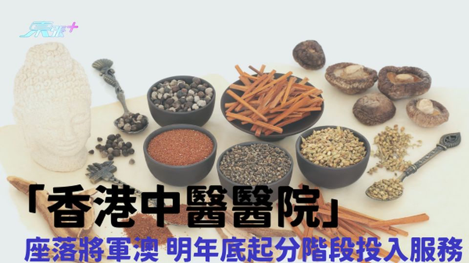首間中醫醫院正式命名    「香港中醫醫院」明年底起分階段投入服務