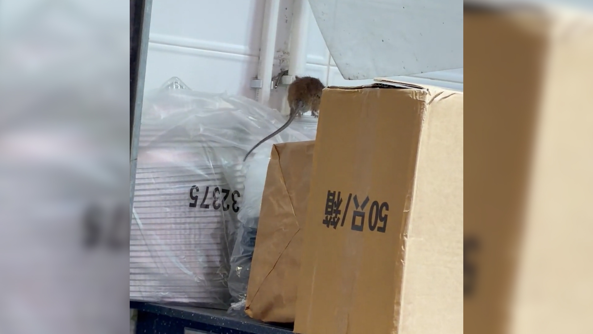 觀眾M小姐向《東張+》提供。