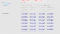 下午經深圳灣及文錦渡往內地配額已滿 落馬洲支綫口岸仍有配額