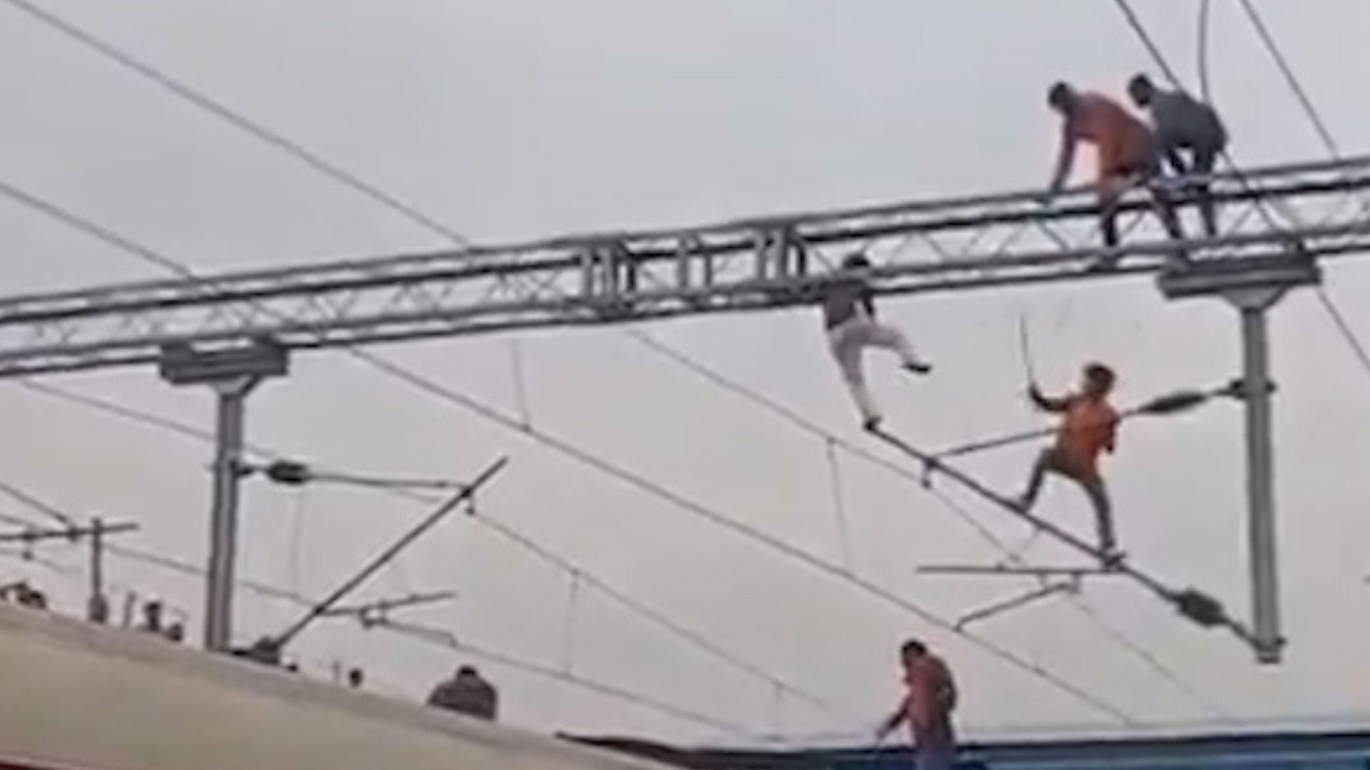 （網上圖片）