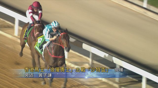 香港馬王「浪漫勇士」沙特盃屈居第二，累積獎金破2億港元。