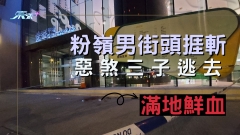 粉嶺男街頭捱斬 滿地鮮血 惡煞三子登車逃去 