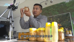 遼寧有家庭三代養蜂 成立合作社及直播帶貨推高銷量