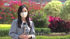 預算案將揭曉會否再派消費券 有議員指效果減弱籲精準投放資源
