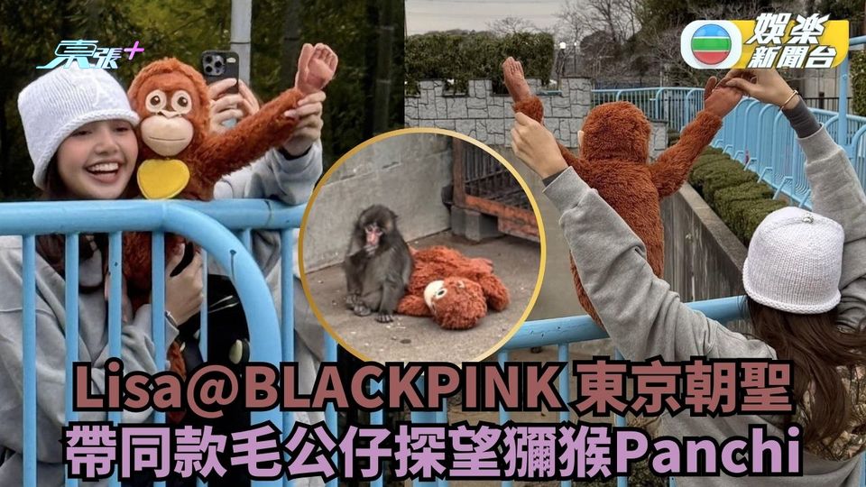 Lisa@BLACKPINK 東京朝聖 帶同款毛公仔探望獼猴Panchi