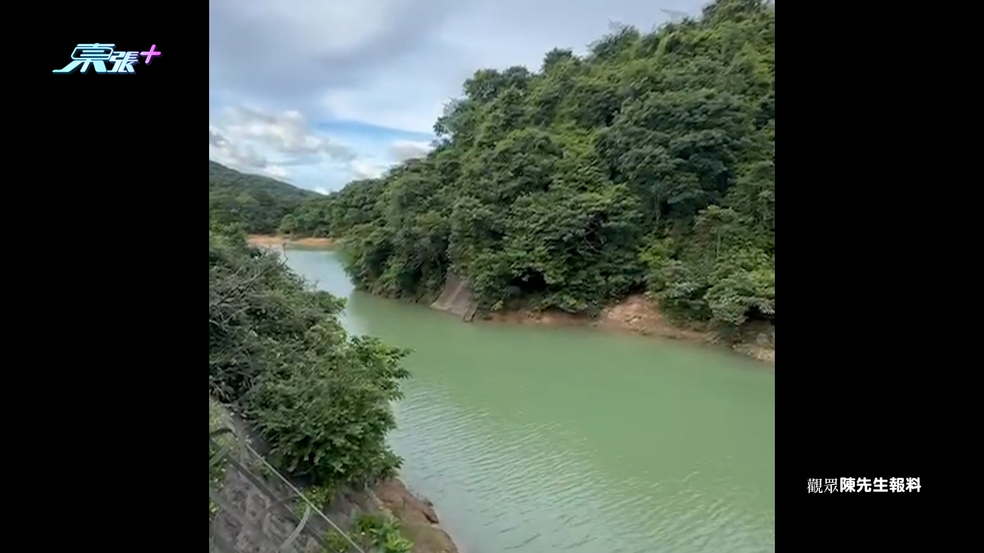 東張西望報料｜九龍水塘驚見「鱷魚」出沒　觀眾報料疑似鱷魚水塘暢泳