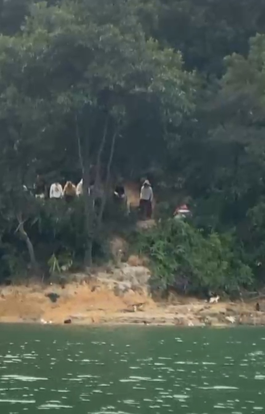 飲用水源地變「貓災區」　網民怒斥行為荒謬