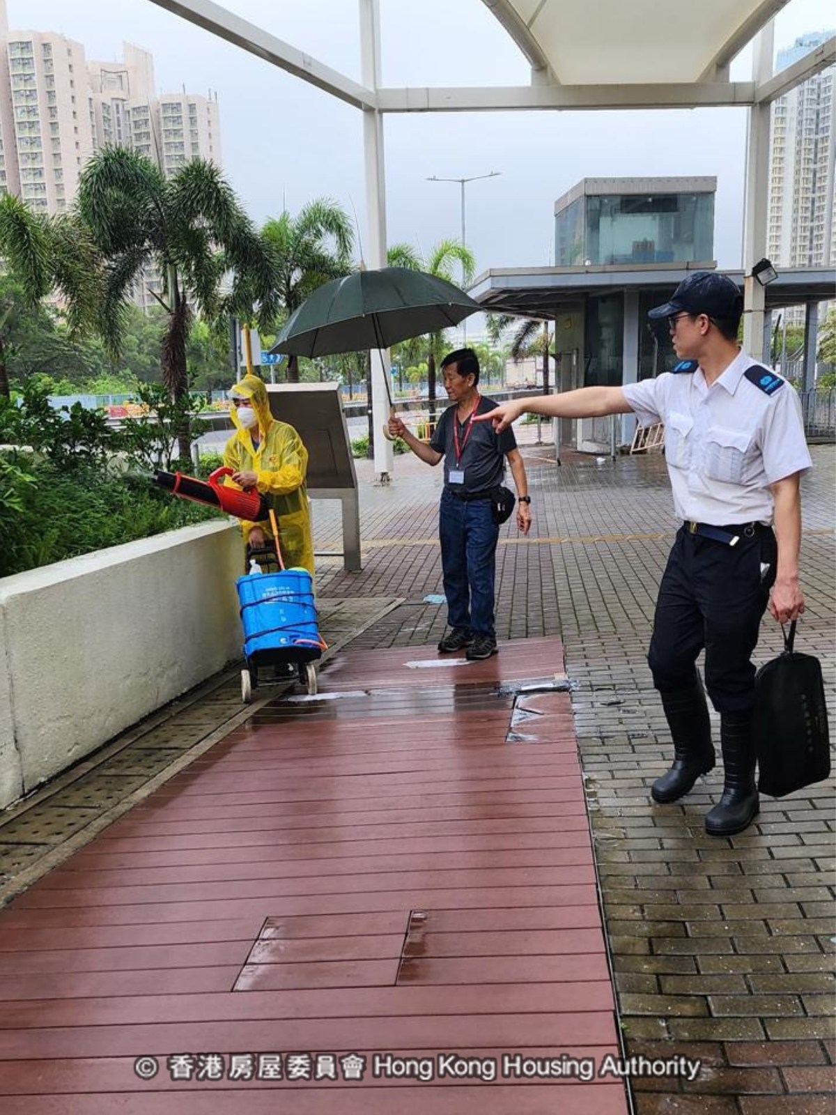 基孔肯雅熱｜香港現首宗輸入個案　12歲患者居安達邨　7月曾遊佛山