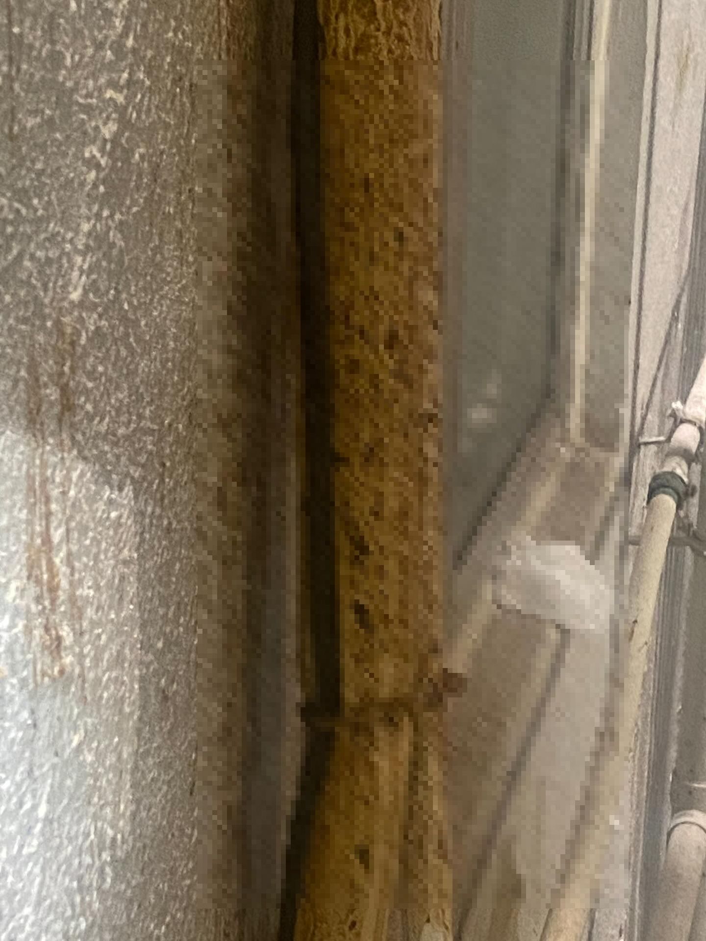 私樓港女疑遭樓上鄰居「掟屎」　網上發文求救：好崩潰