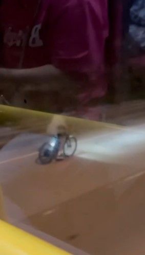 男子公然公路上駕駛電動單車