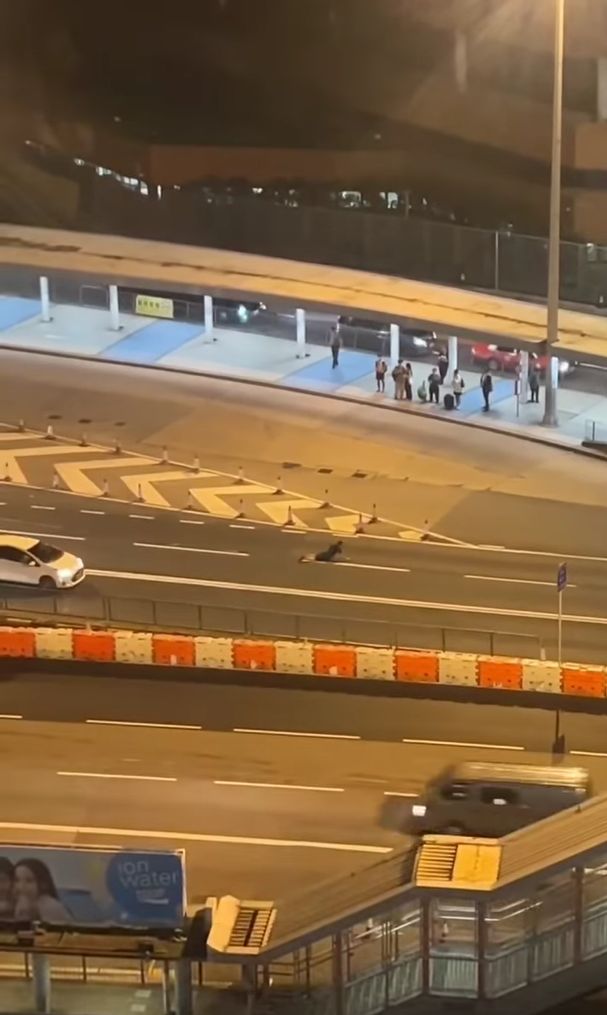 紅隧轉車站醉漢亂闖大字型瞓地阻交通