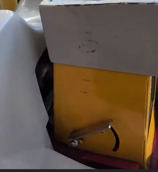 巴士「不速之客」坐霸王車　蛇仔上車嘆冷氣　網民揭原來為港原生物種