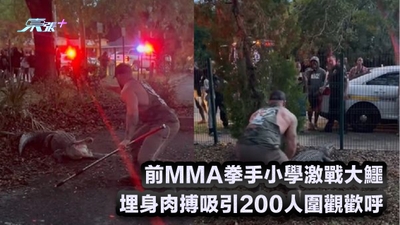有片｜前MMA拳手小學激戰大鱷 埋身肉搏吸引200人圍觀歡呼