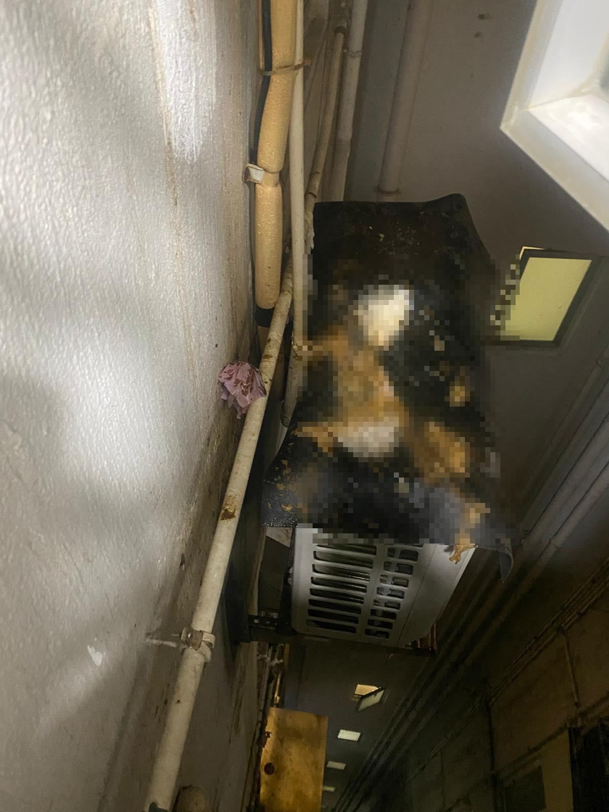 私樓港女疑遭樓上鄰居「掟屎」　網上發文求救：好崩潰