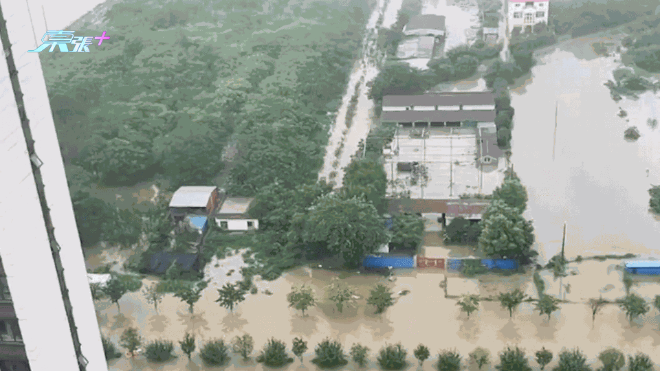 河南暴雨創新高｜南陽啟動最高級別防汛應急