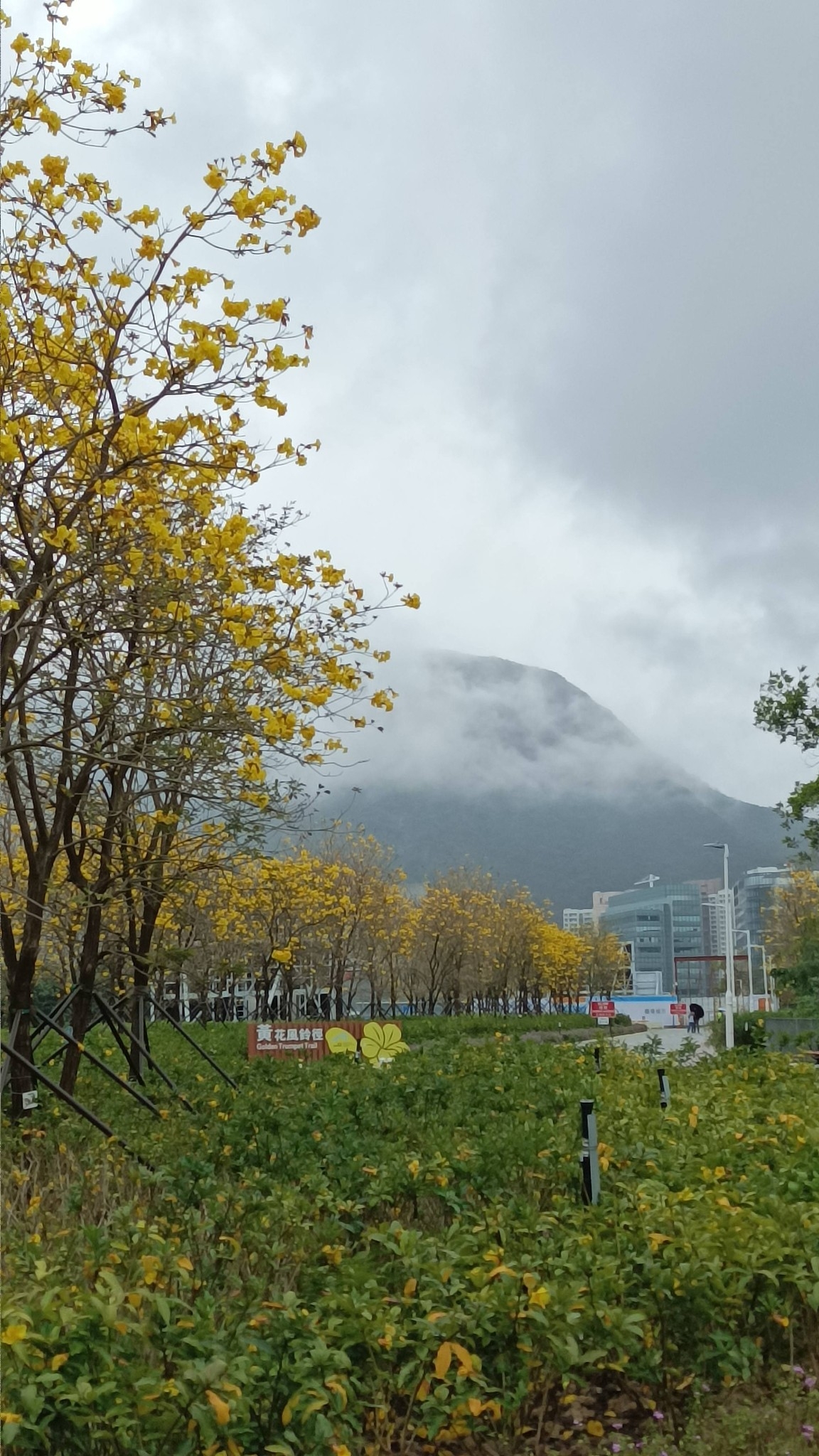 可能是霧和山的圖像