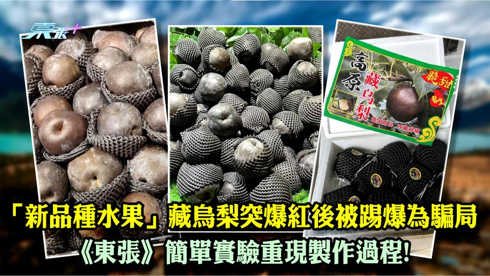 「新品種水果」藏烏梨突爆紅後被踢爆為騙局 《東張》簡單實驗重現製作過程! - 東張+