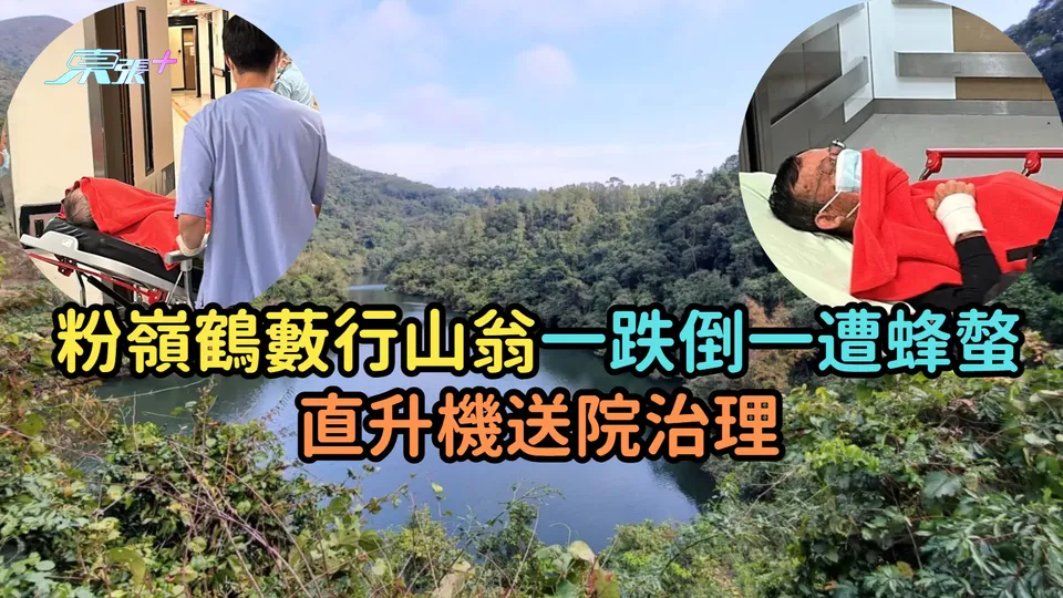 粉嶺鶴藪行山翁一跌倒一遭蜂螫  直升機送院治理