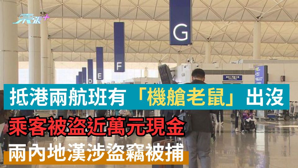 抵港兩航班有「機艙老鼠」出沒 乘客被盜近萬元現金 兩內地漢涉盜竊被捕 