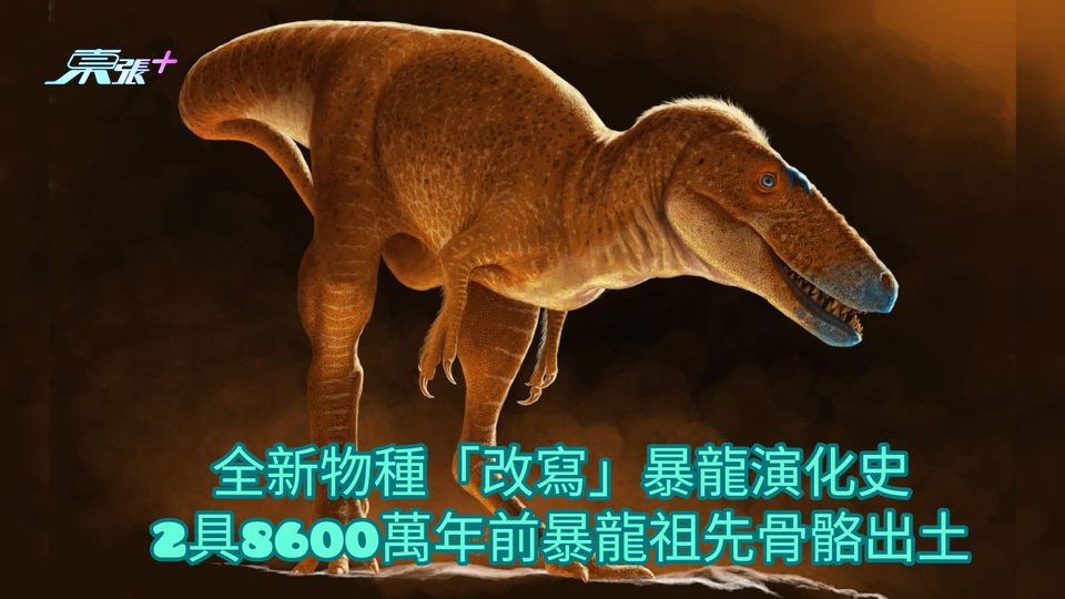 全新物種「改寫」暴龍演化史 2具8600萬年前暴龍祖先骨骼出土