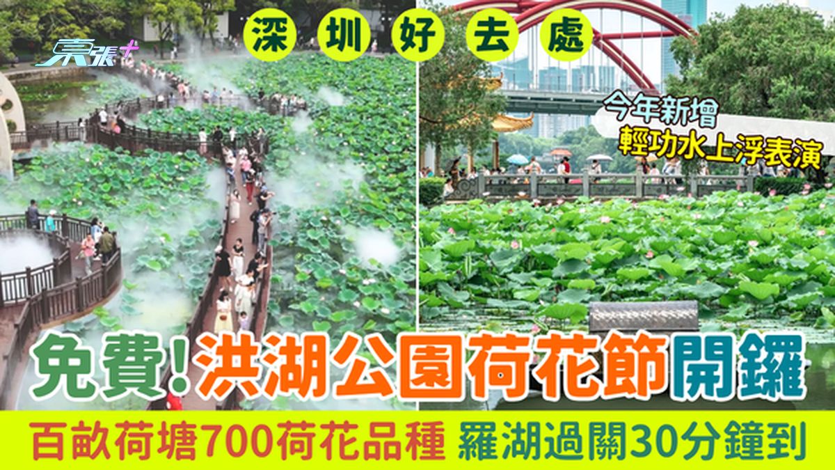 深圳好去处｜免费！洪湖公园荷花节2026今开锣 百亩荷塘700荷花品种 罗湖过关30分钟到达！