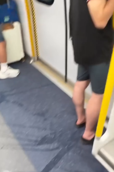 港鐵東鐵綫男子公然車廂內小便全被拍　滿地尿液周圍流動網民直呼嘔心