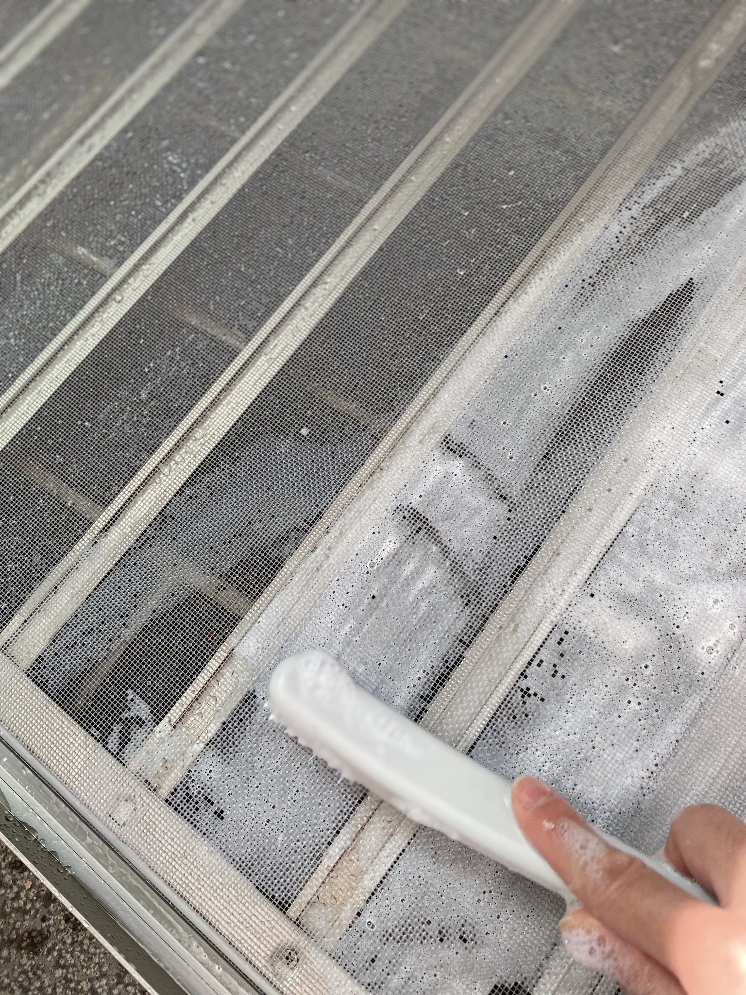 未提供相片說明。