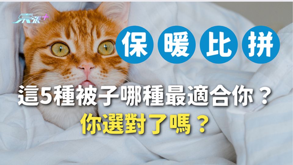 保暖大比拼🔥 這5種被子哪種最適合你？棉被、羽絨被、蠶絲被，你選對了嗎？