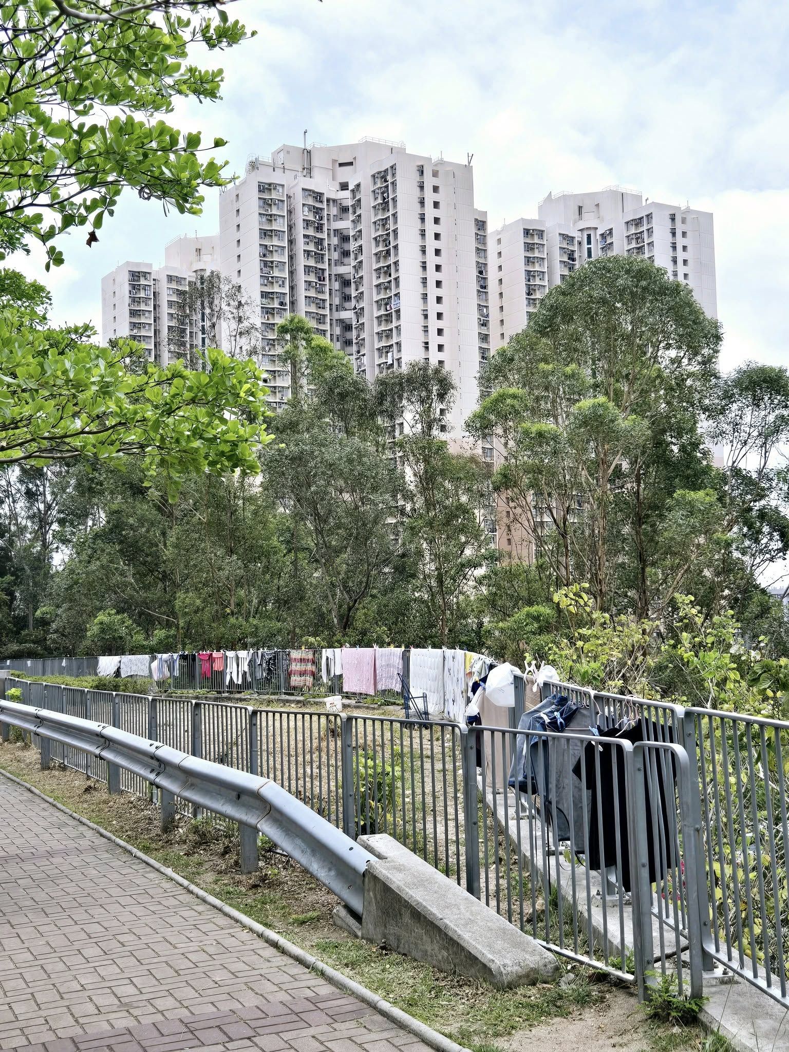 May be an image of skyscraper and grass