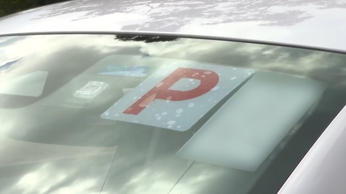 涉事私家車掛「P牌」。（網上圖片）