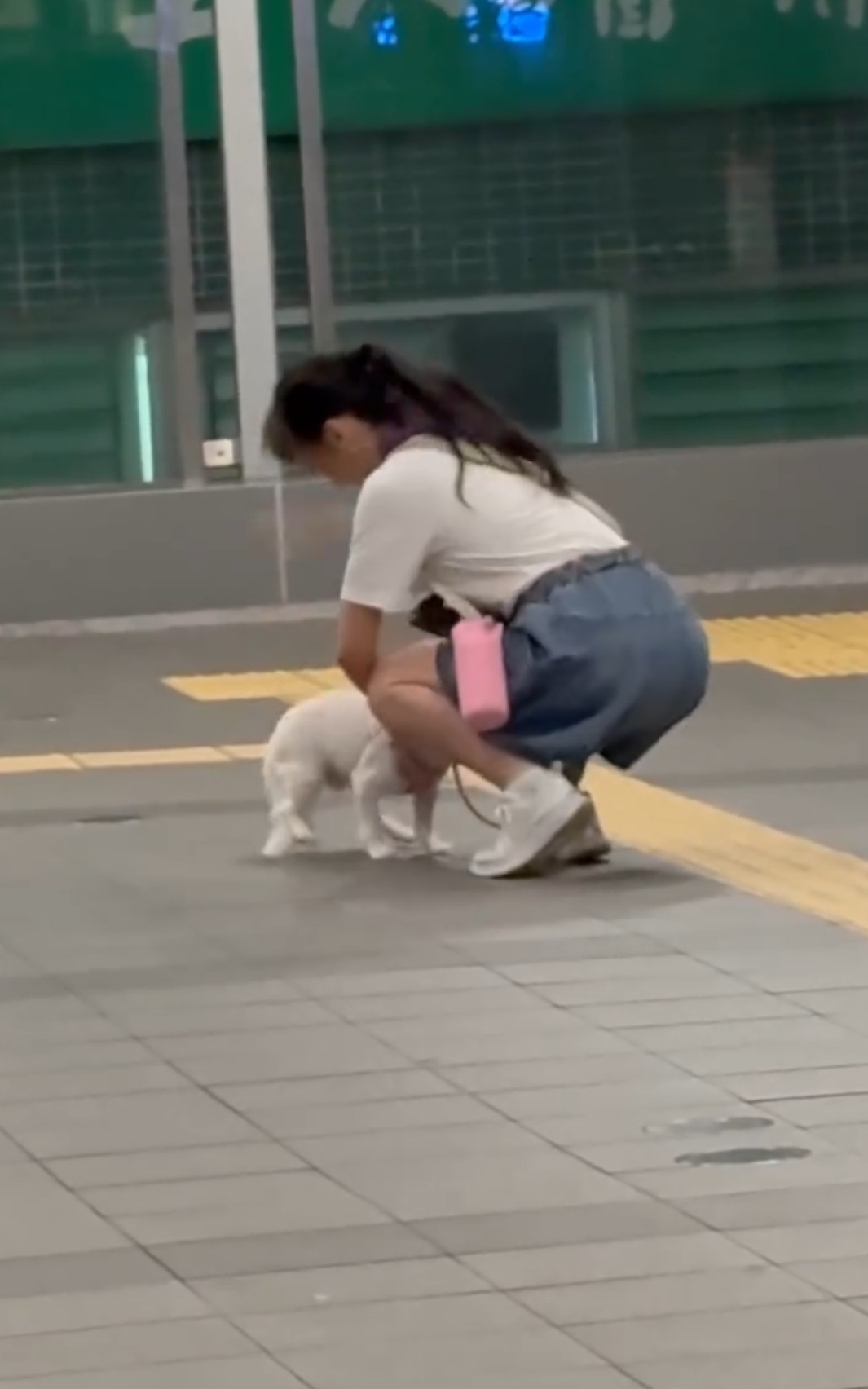 旺角中心天橋近日流傳一段影片，顯示一名白衣女子在天橋上多次拍打一隻小狗，疑似涉及虐待動物行為，事件引起網上廣泛討論。