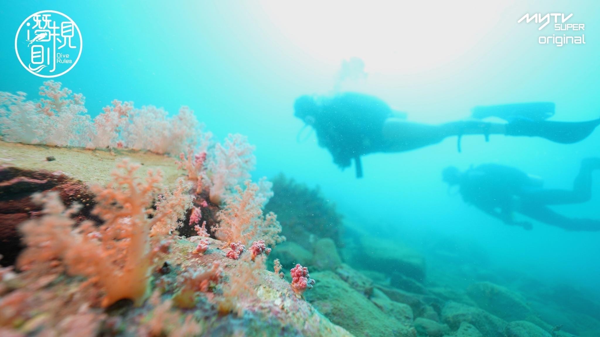 果洲群島海底拍攝 。
