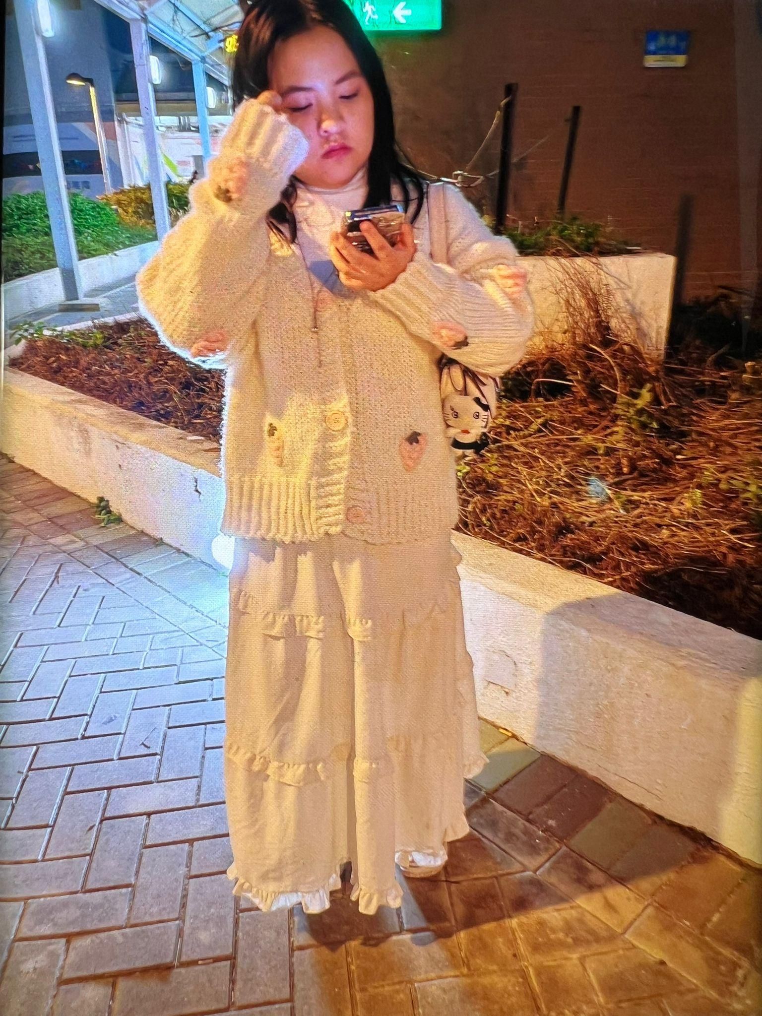 潘迎紫 (警方提供照片)