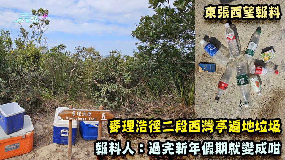 東張西望報料｜麥理浩徑二段西灣亭遍地垃圾 報料人：過完新年假期就變成咁